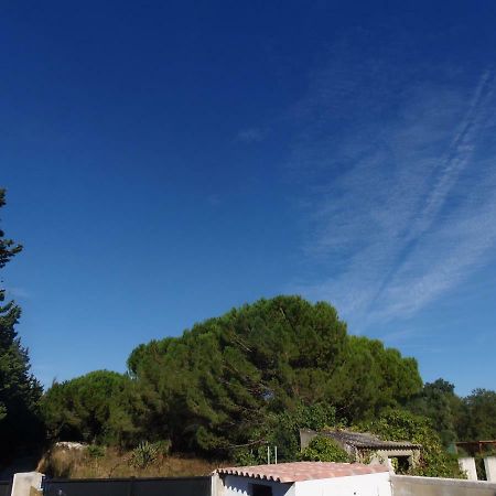 エマルグJoli Mazet Entre Montpellier Et Nimesアパートメント エクステリア 写真