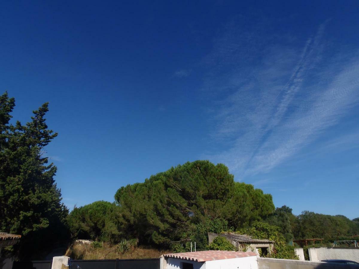 エマルグJoli Mazet Entre Montpellier Et Nimesアパートメント エクステリア 写真